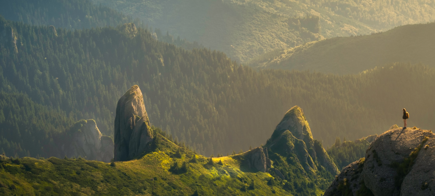 Jeannie McGillivray's leadership and culture skills can help you become aware and brought forth into the world.